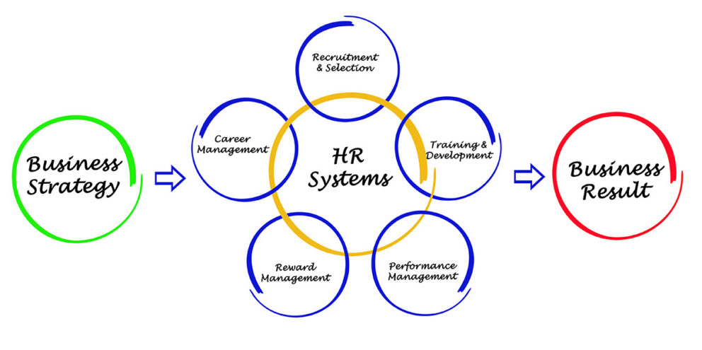 Process before Systems for HR Management | HR WoRx